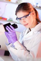 Image showing Portrait of a helth care professional microscoping.