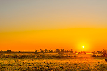 Image showing Misty field with a sunrise