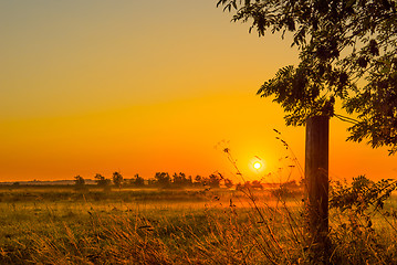 Image showing Sunrise over a misty field