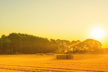 Image showing Countryside landscape with straw bales