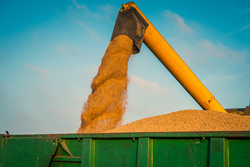 Image showing Harvester loading grain on a green container