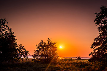 Image showing Tree silhouette in a sunrise