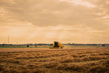 Image showing Harvester on cropped field