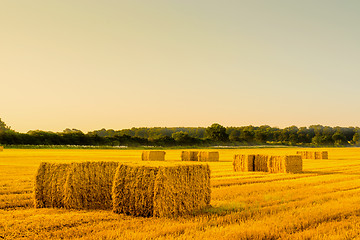 Image showing Straw bales in a countryside landscape