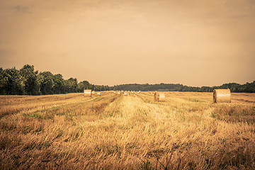 Image showing Countryside field with round bales