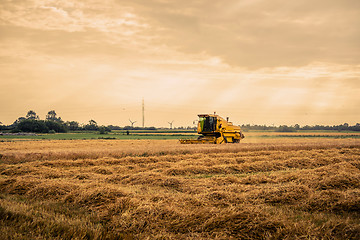 Image showing Harvester on a field in the summertime