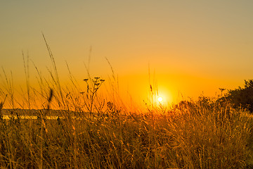 Image showing Sunrise over a lake in the morning