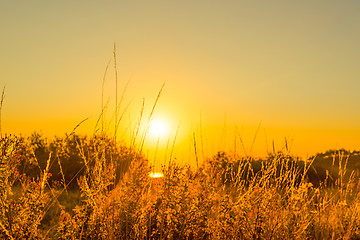 Image showing Early morning with a countryside sunrise