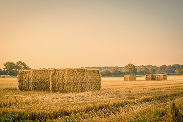 Image showing Harvested straw bales on a countryside