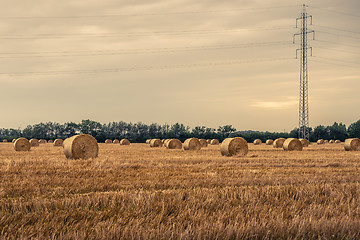 Image showing Round bales on a field with pylons