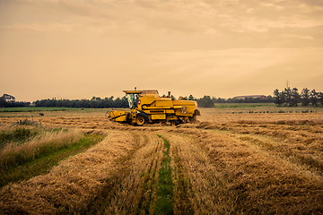 Image showing Yellow harvester driving on a field