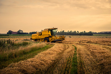 Image showing Harvester on a field at a farm