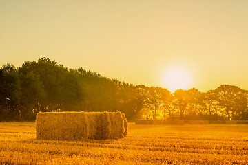 Image showing Sunrise landscape with straw bales