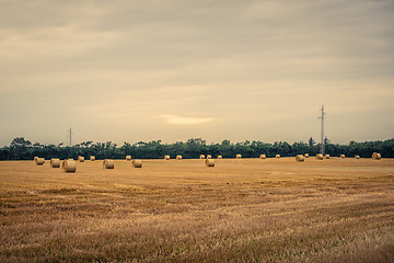 Image showing Round hay bales in the country