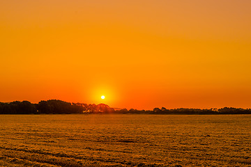 Image showing Field landscape with a sunrise