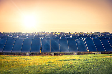 Image showing Solar cell park on a field