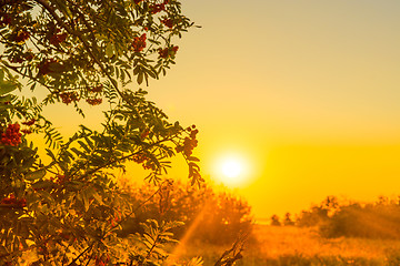 Image showing Early morning sunrise with sunbeams