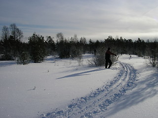 Image showing Winter in Norway