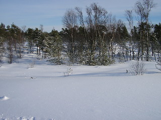 Image showing Winter in Norway!