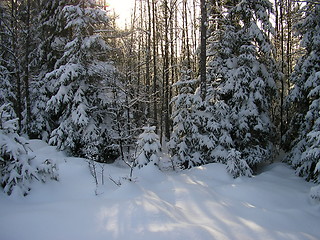 Image showing Winter in Norway!