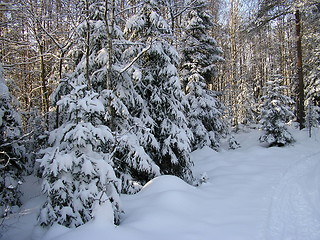 Image showing Winter in Norway!