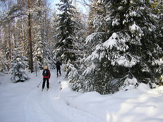 Image showing Winter in Norway!