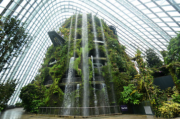 Image showing Cloud Forest at Gardens by the Bay in Singapore