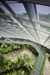 Image showing Cloud Forest at Gardens by the Bay in Singapore