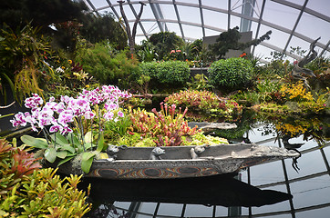 Image showing Cloud Forest at Gardens by the Bay in Singapore