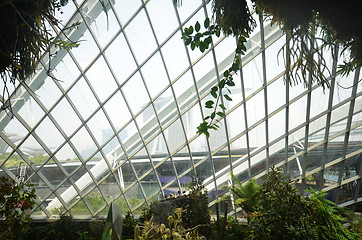 Image showing Cloud Forest at Gardens by the Bay in Singapore