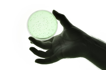 Image showing hand with Petri dish