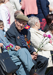 Image showing Veteran