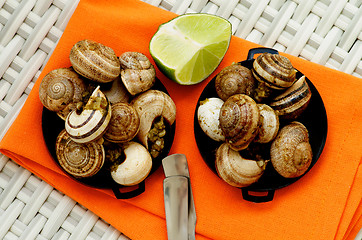 Image showing Snails with Garlic Butter