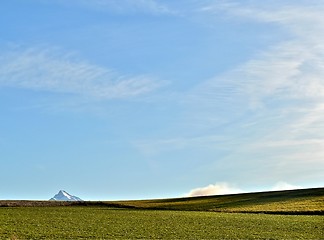 Image showing Meadow with mountain peak