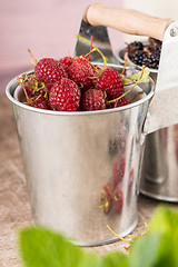 Image showing Metal buckets with fresh berries