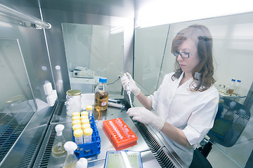 Image showing Life scientist researching in the laboratory.
