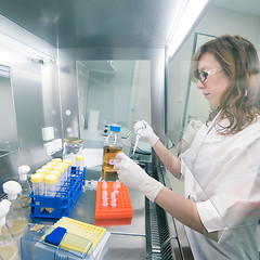 Image showing Life scientist researching in the laboratory.