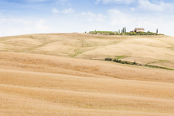 Image showing Countryside in Tuscany