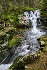 Image showing waterfall in deep forest at mountains