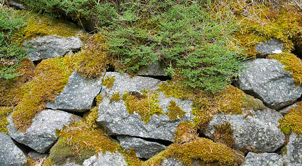 Image showing mossy stones