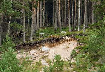 Image showing landslide