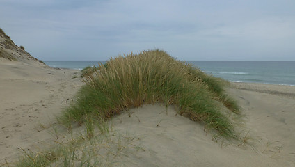 Image showing Coastline