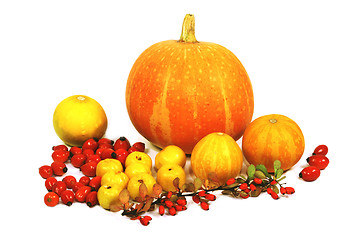 Image showing Autumn decoration