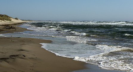 Image showing Coastline