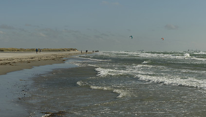 Image showing Coastline