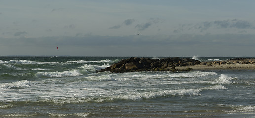 Image showing Coastline