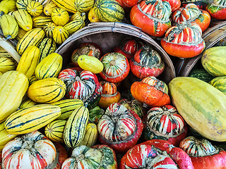 Image showing Delicata and Turban squashes at the market