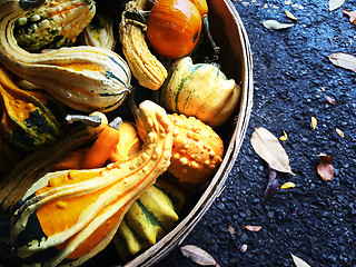 Image showing Colorful gourds in a basket