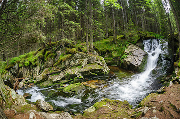 Image showing waterfall in deep forest at mountains