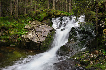 Image showing waterfall in deep forest at mountains